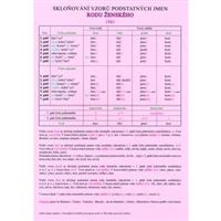 Skloňování vzorů podstatných jmen rodu ženského - TABULKA A4