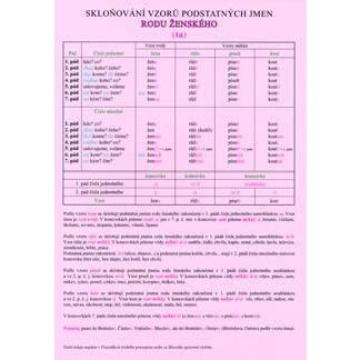 Skloňování vzorů podstatných jmen rodu ženského - TABULKA A4