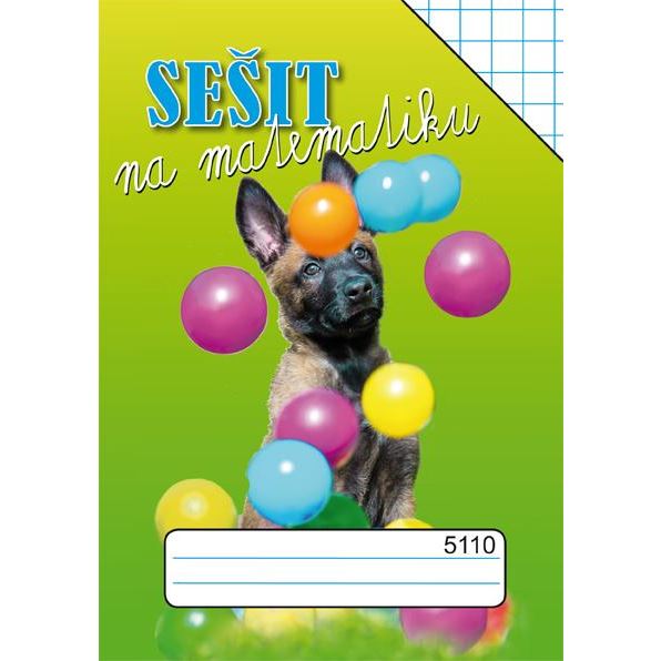 Sešit 5110 /čtvereček 10 x10mm/ různé motivy