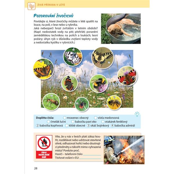 ROZMANITOST PŘÍRODY 4/2 – Přírodověda pro 4. r. - el. jednouživatelská licence pro žáky (12 měsíců + 6 zdarma)