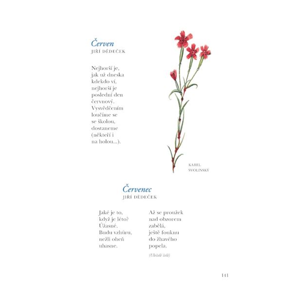 Čítanka 4 - měkká vazba