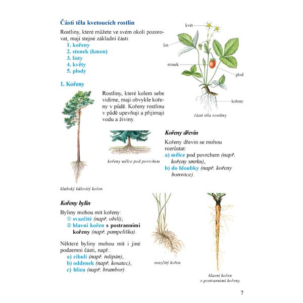 Prvouka 3, 2. díl - samostatná učebnice
