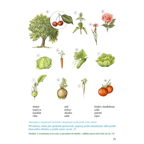 Prvouka 3, 2. díl - samostatná učebnice