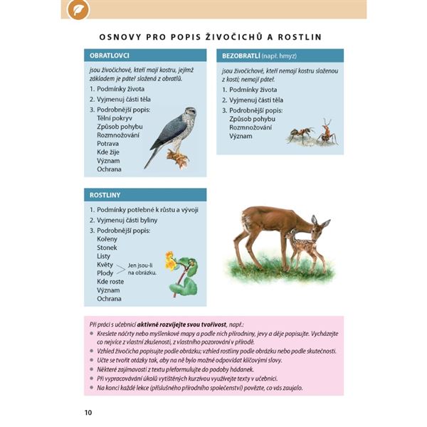 ROZMANITOST PŘÍRODY 4/1 - Přírodověda pro 4. r. - el. multilicence pro školy (12 měsíců + 6 zdarma)