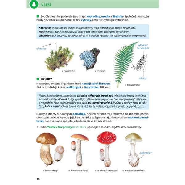 ROZMANITOST PŘÍRODY 4/1 - Přírodověda pro 4. r. - el. multilicence pro školy (12 měsíců + 6 zdarma)
