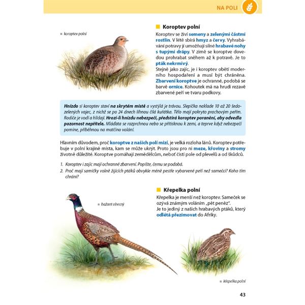 ROZMANITOST PŘÍRODY 4/1 - Přírodověda pro 4. r. - el. multilicence pro školy (12 měsíců + 6 zdarma)