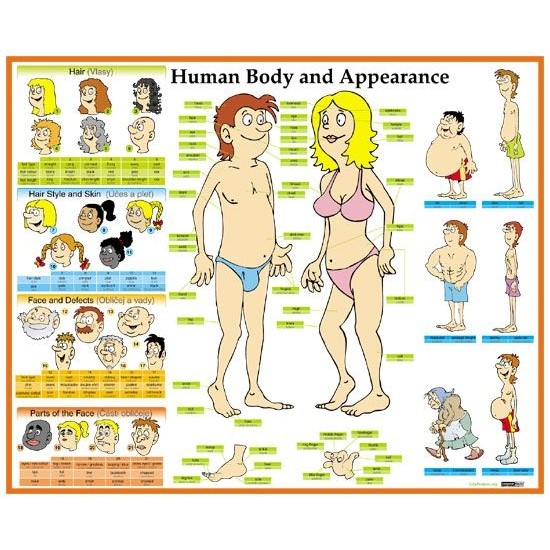 Angličtina - Human Body and Appearance - nástěnný obraz 110x91