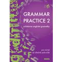 Grammar Practice 2