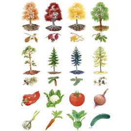 Vystřihovací příloha k učebnici prvouky pro 1. ročník