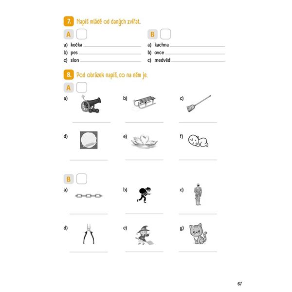 Krátká cvičení z českého jazyka pro 2. a 3. třídu ZŠ