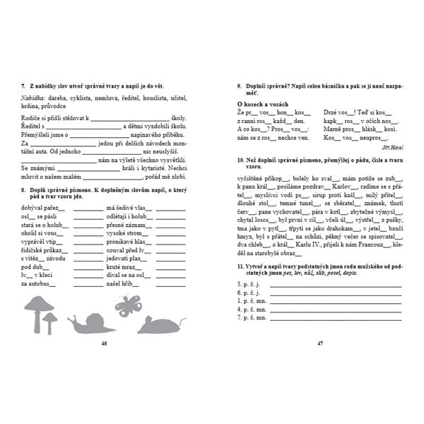 Diktáty a pravopisná cvičení pro 4. r. ZŠ