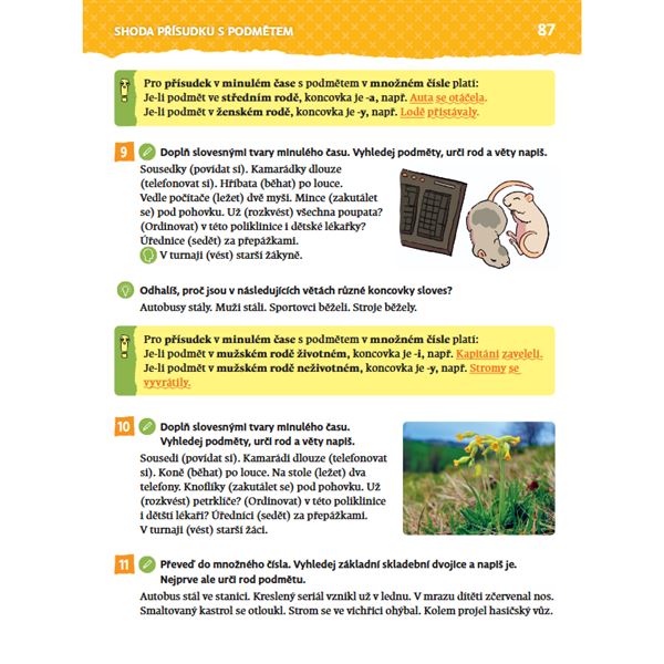 Český jazyk 4 (nová generace) - Učebnice