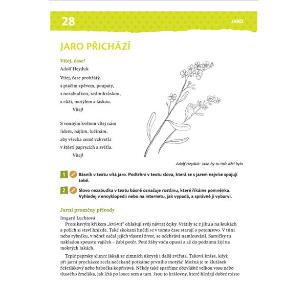 Rok čtenáře - Čtení s porozuměním pro 2. a 3. třídu