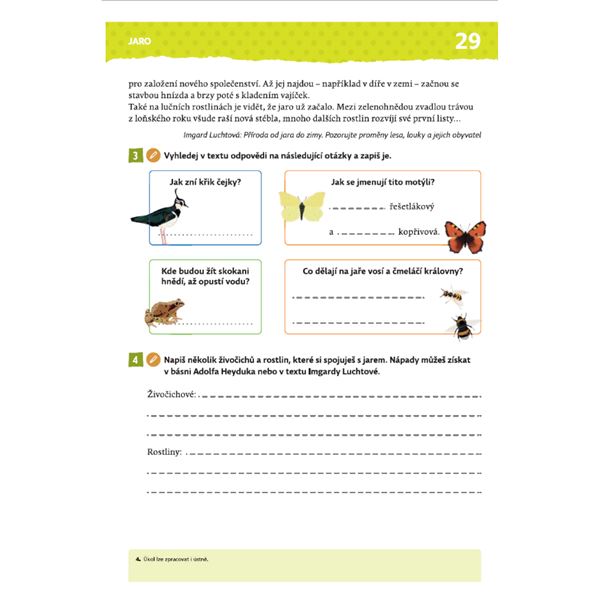 Rok čtenáře - Čtení s porozuměním pro 2. a 3. třídu