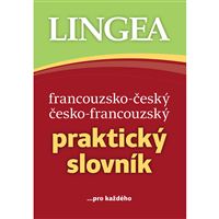 F-Č a Č-F praktický slovník (pevná vazba)