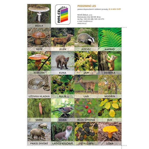 Já a můj svět 2- sada pexesa