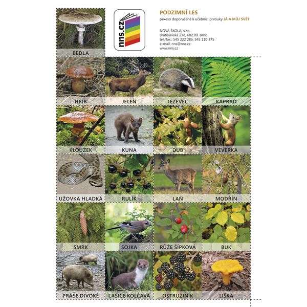 Já a můj svět 2- pexeso Podzimní les