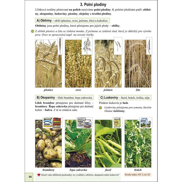 Já a můj svět - Prvouka pro 3.r.(RVP) - učebnice