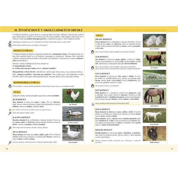 Člověk a jeho svět - Přírodověda 4 - učebnice RVP