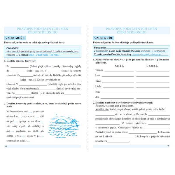 Procvičujeme pravopis podstatných jmen rodu ženského a středního