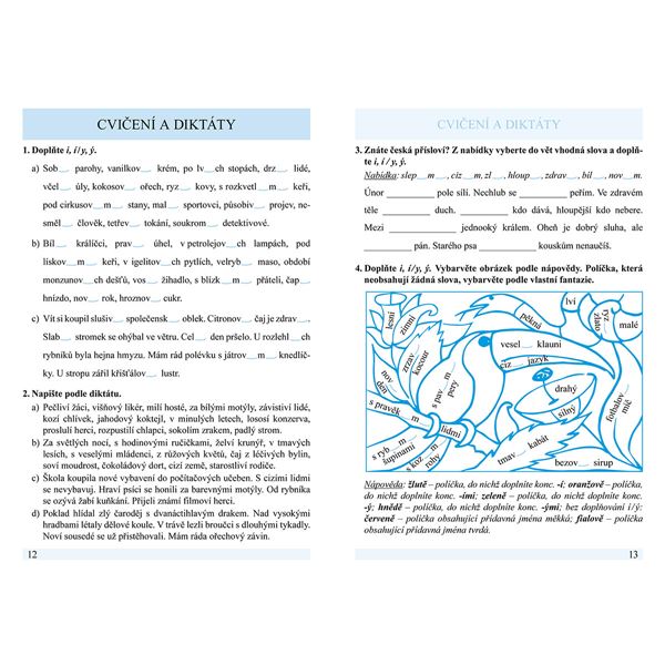 Procvičujeme pravopis přídavných jmen