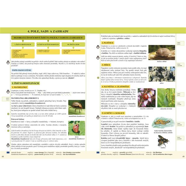 Přírodopis 6/2 - Bezobratlí živočichové - učebnice