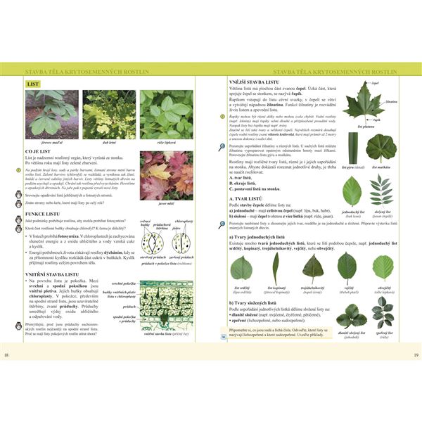 Přírodopis 7/2 - Botanika - učebnice