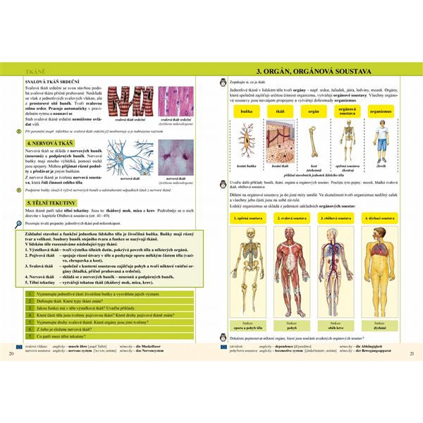 Přírodopis 8 - Biologie člověka - učebnice