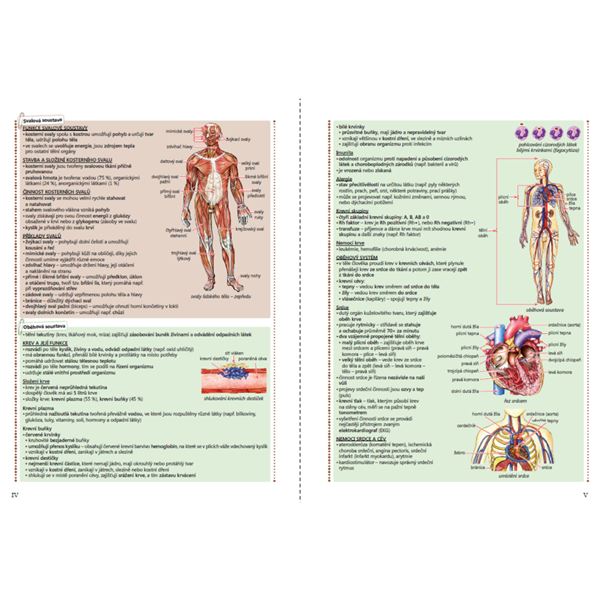 Přírodopis 8 - Biologie člověka - pracovní sešit (barevný)