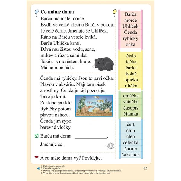 Slabikář s kocourem Samem (Čtení s porozuměním) tvrdá vazba