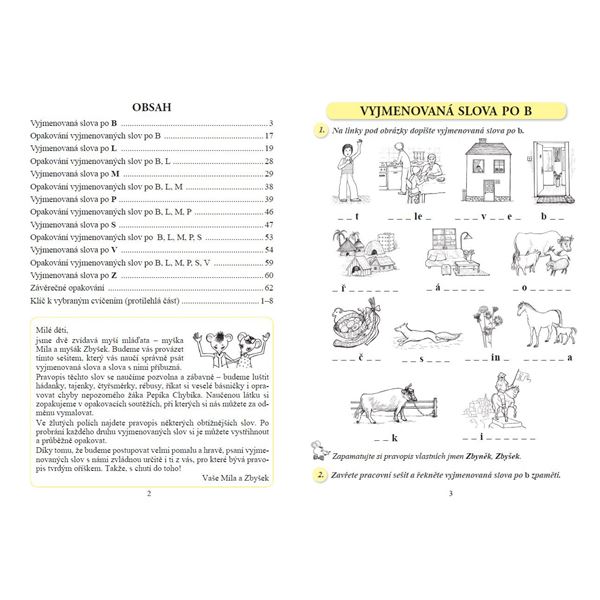 Vyjmenovaná slova nově - pracovní sešit