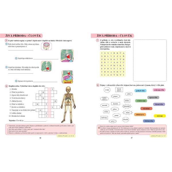 Prvouka 3 - Pracovní sešit, Čtení s porozuměním 