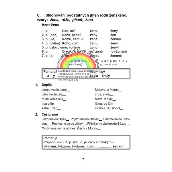 Pravopis podstatných jmen rodu středního a ženského - pracovní sešit