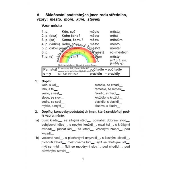 Pravopis podstatných jmen rodu středního a ženského - pracovní sešit