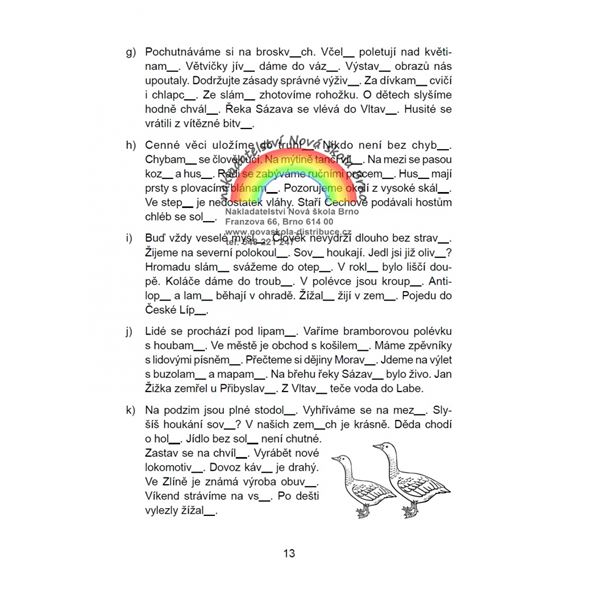 Pravopis podstatných jmen rodu středního a ženského - pracovní sešit