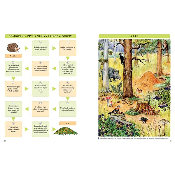 Přírodověda 4 - učebnice, Čtení s porozuměním