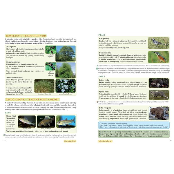 Přírodověda 4 - učebnice, Čtení s porozuměním