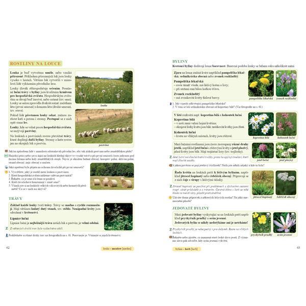 Přírodověda 4 - učebnice, Čtení s porozuměním