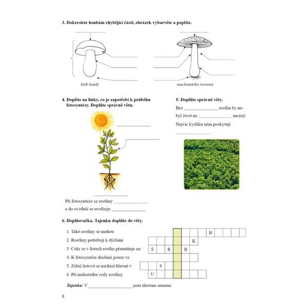 Přírodověda 4 - Pracovní sešit, Čtení s porozuměním