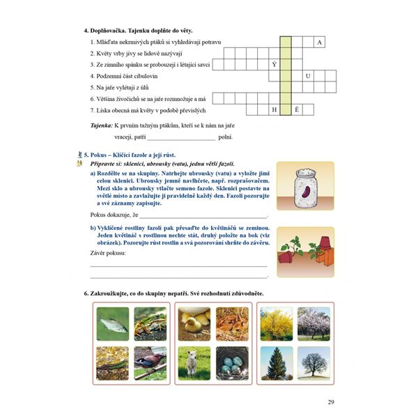 Přírodověda 4 - Pracovní sešit, Čtení s porozuměním