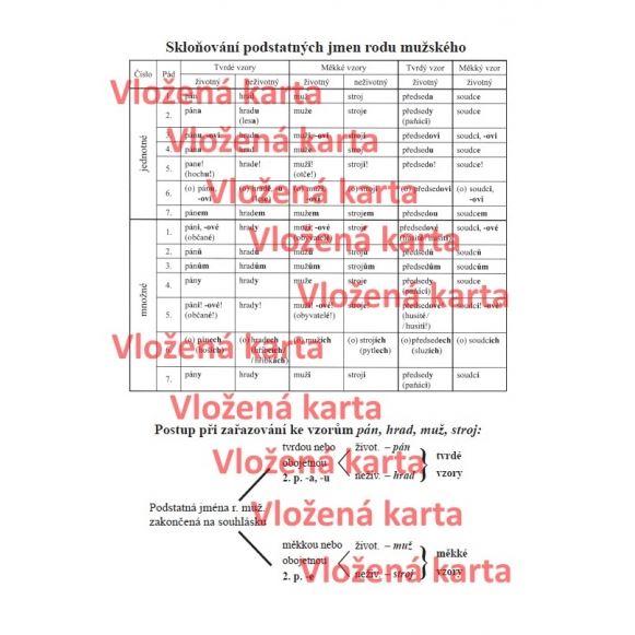 Pravopis nás baví - pravopis podstatných jmen (rod střední, ženský a mužský)