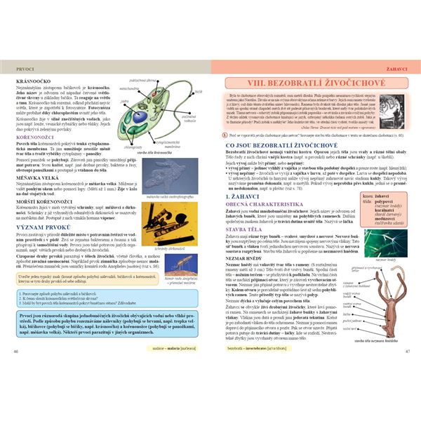 Přírodopis 6 - Úvod do přírodopisu - učebnice, Čtení s porozuměním