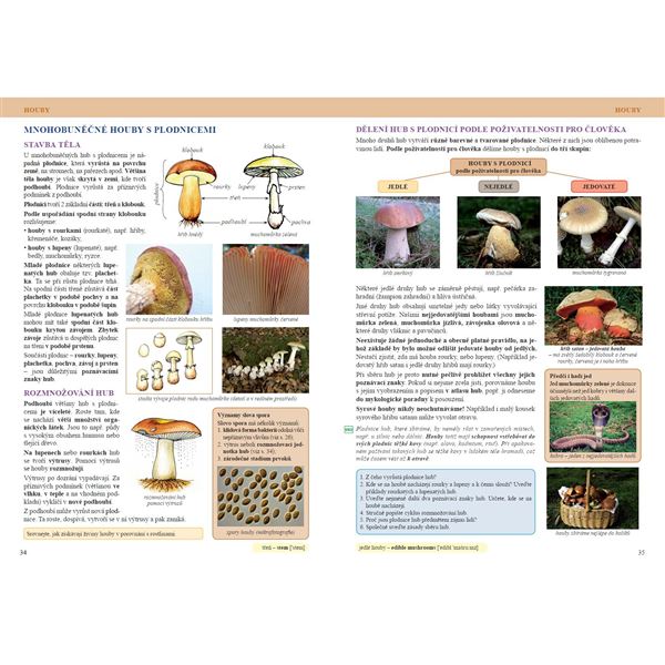 Přírodopis 6 - Úvod do přírodopisu - učebnice, Čtení s porozuměním