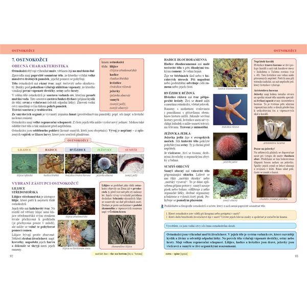 Přírodopis 6 - Úvod do přírodopisu - učebnice, Čtení s porozuměním
