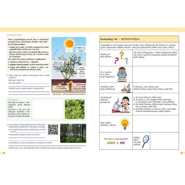 Přírodopis 6 - Člověk a příroda - pracovní učebnice
