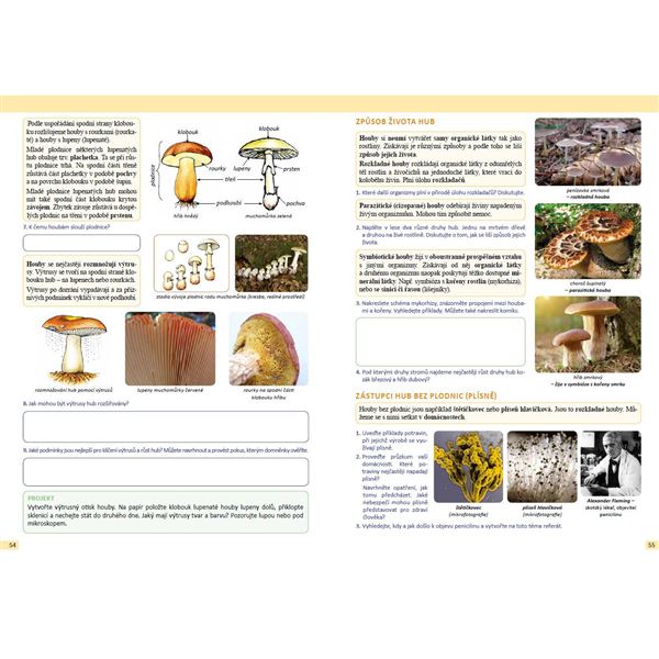 Přírodopis 6 - Člověk a příroda - pracovní učebnice