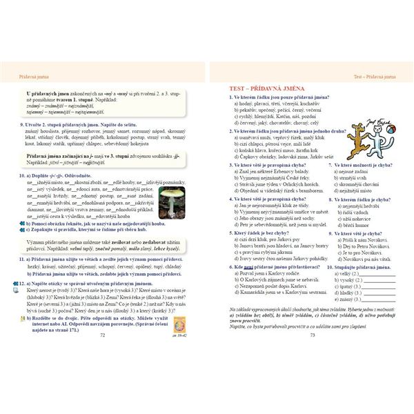 Český jazyk 6 - učebnice, Čtení s porozuměním