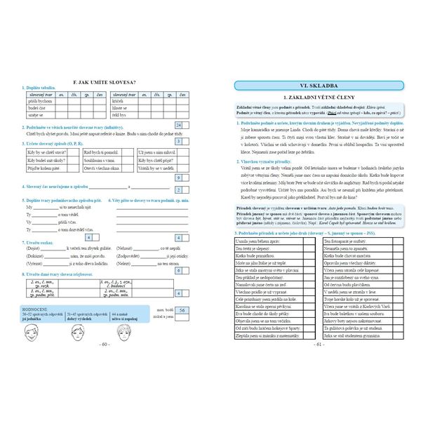 Procvičujeme češtinu v 6. ročníku - pracovní sešit, Čtení s porozuměním
