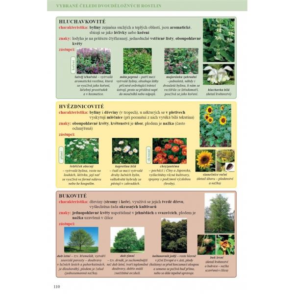 Přírodopis 7 - Zoologie a botanika - učebnice, Čtení s porozuměním