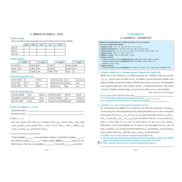 Procvičujeme češtinu v 7. ročníku - pracovní sešit, Čtení s porozuměním